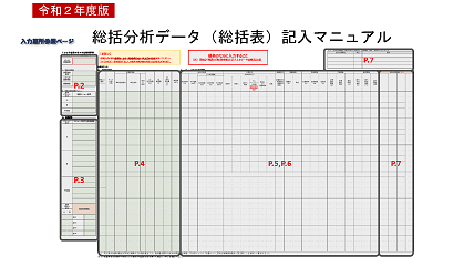 総括分析データ記入マニュアル